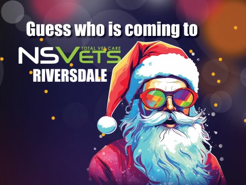 Santa is coming to NSVets