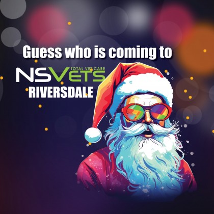 Santa is coming to NSVets